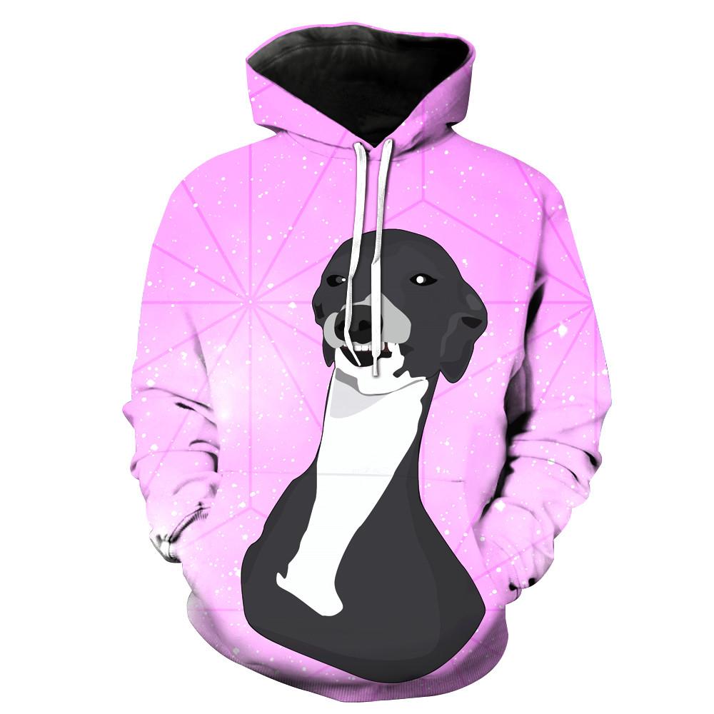 Geometric Dog Hoodie