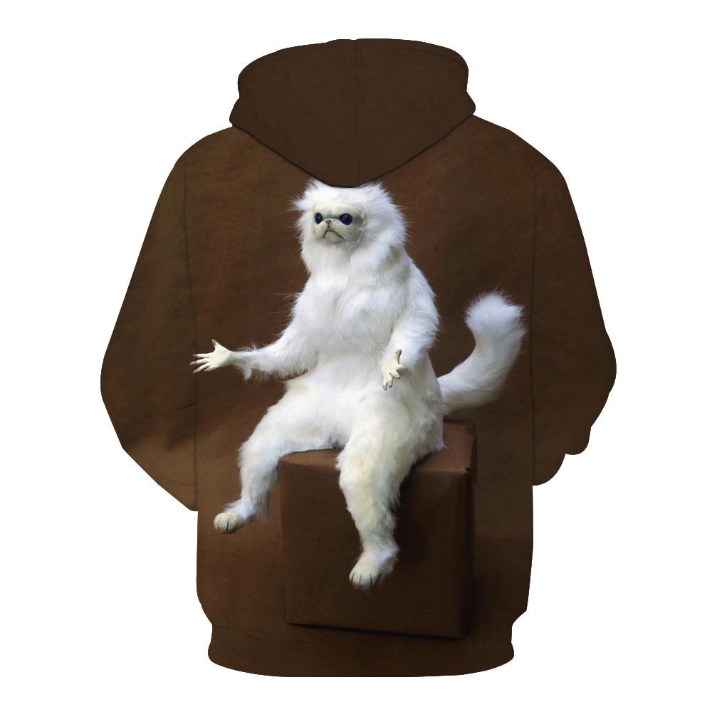 Job Interviewers Be Like Hoodie