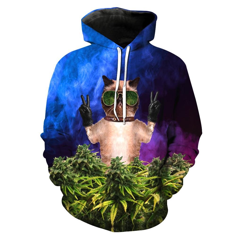 420 Cat Hoodie