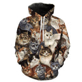 Cat Paparazzi Hoodie