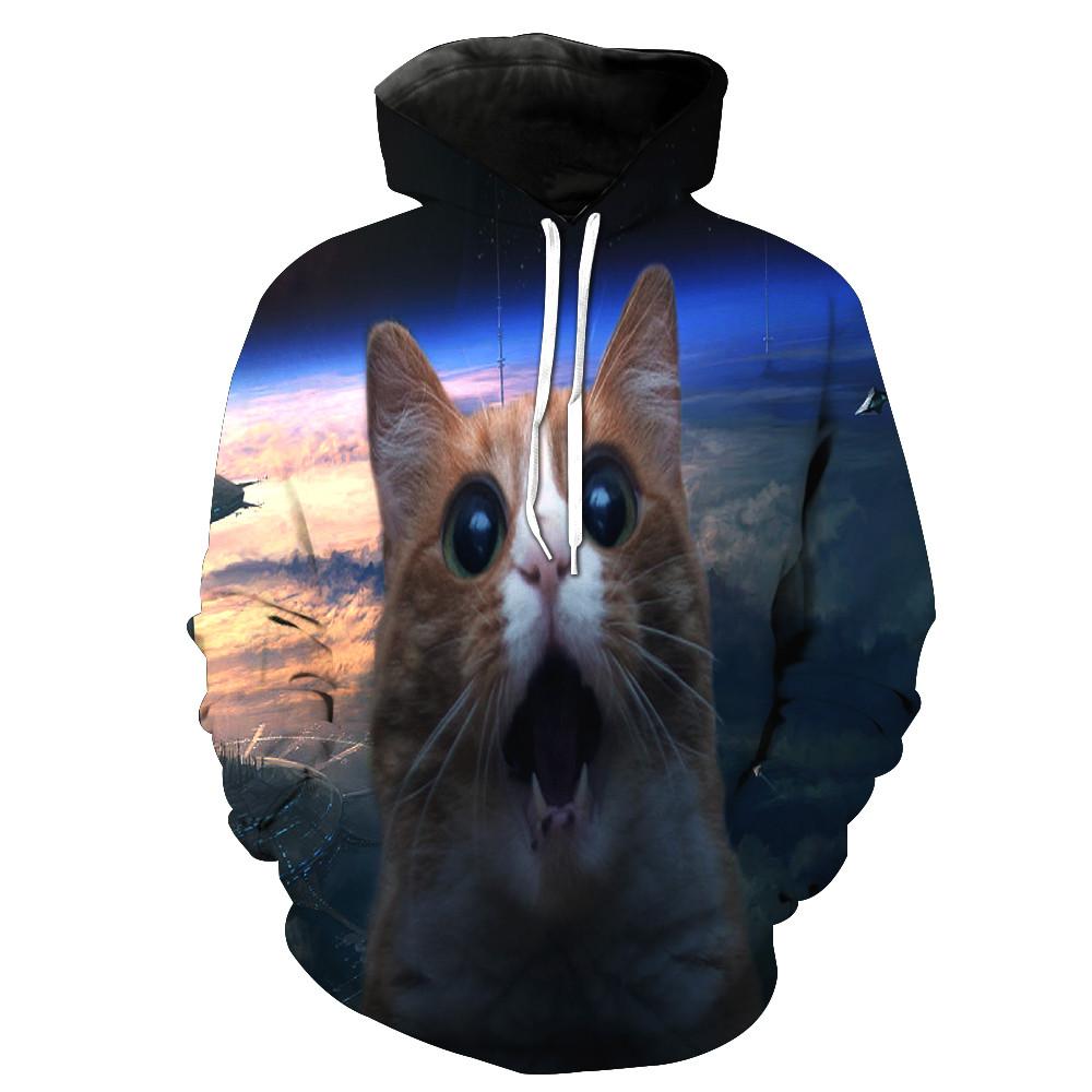 Surprised Cat Hoodie