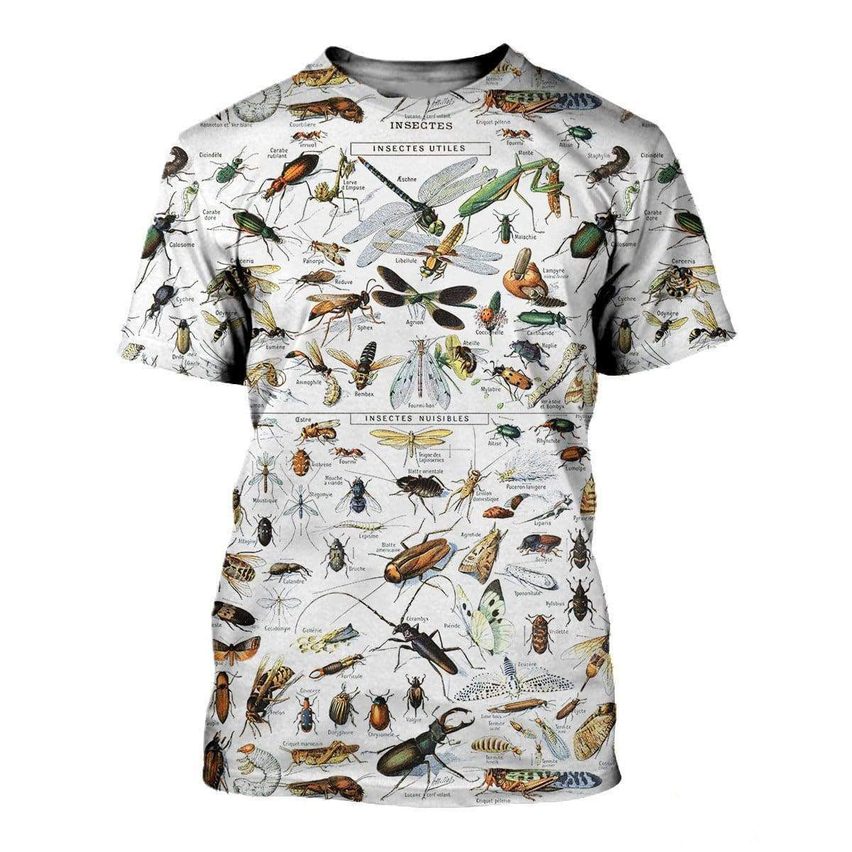 Insects Families