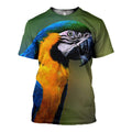 tropical parrot