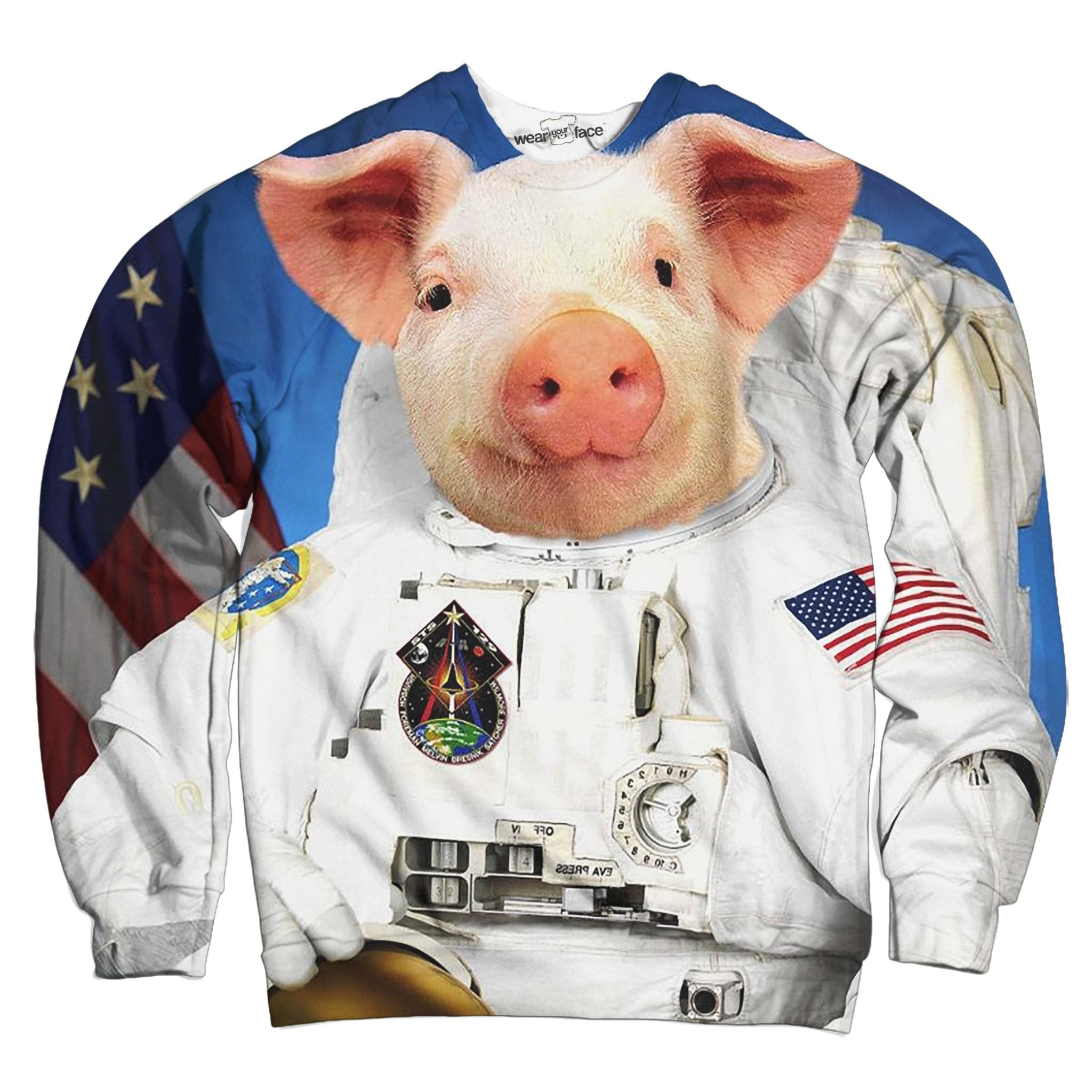 Space Pig Sweatshirt