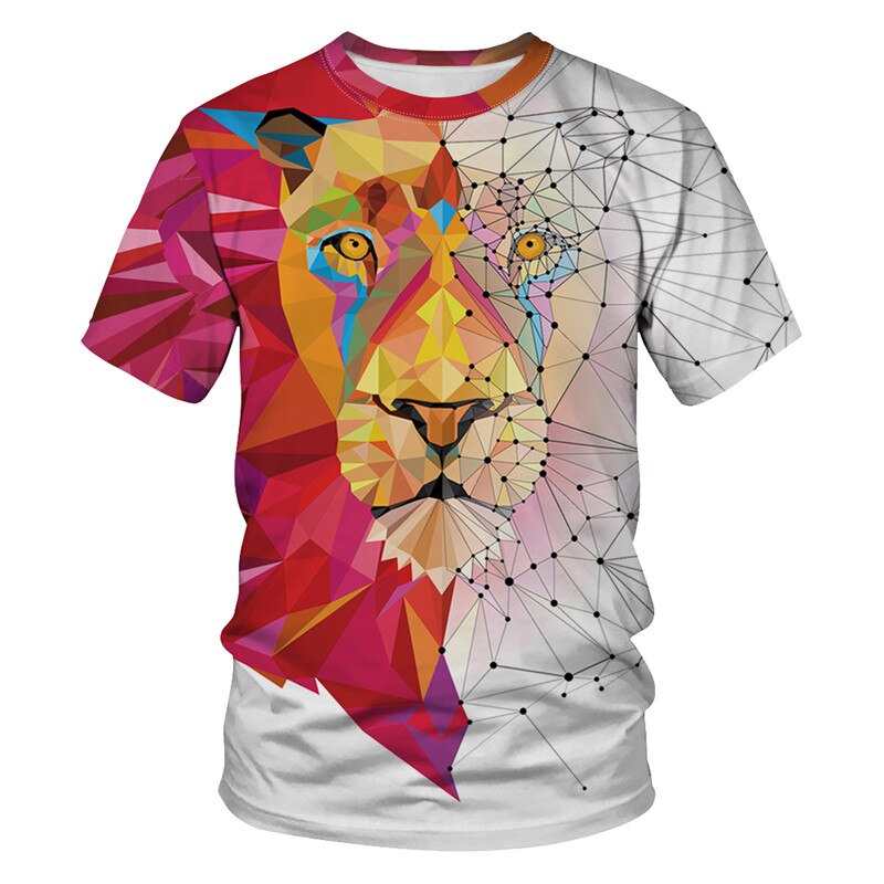 leo geometry