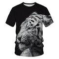 tiger wanderer