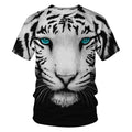 white tiger blue eyes