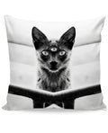 Third Eyed Cat Couch Pillow