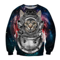 galaxy kitten astrocat