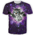 space flying cat
