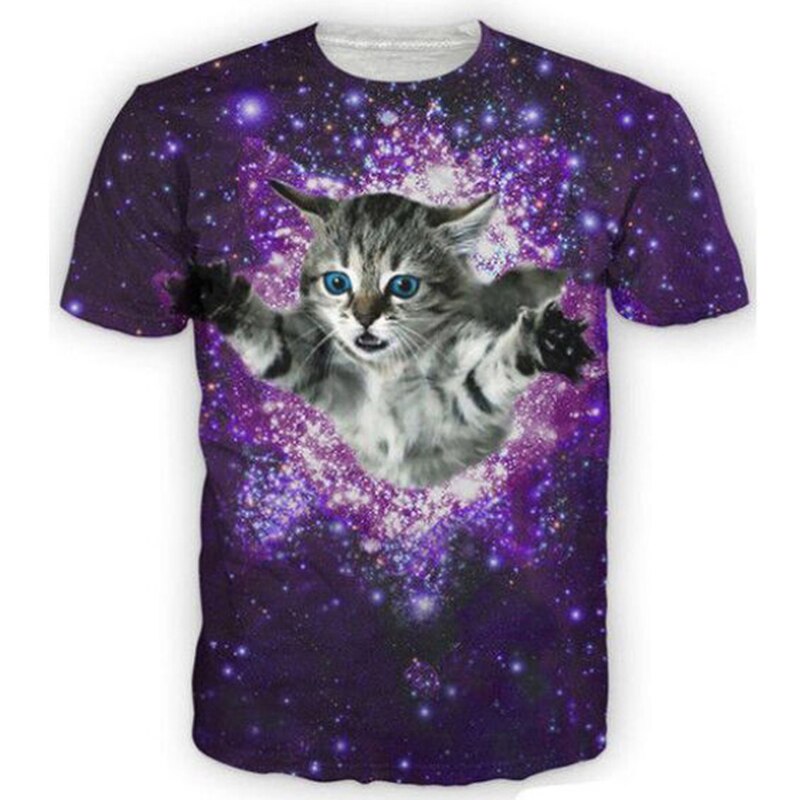 space flying cat