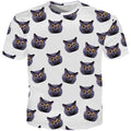 british shorthair cat