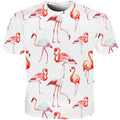 red crowned flamingo