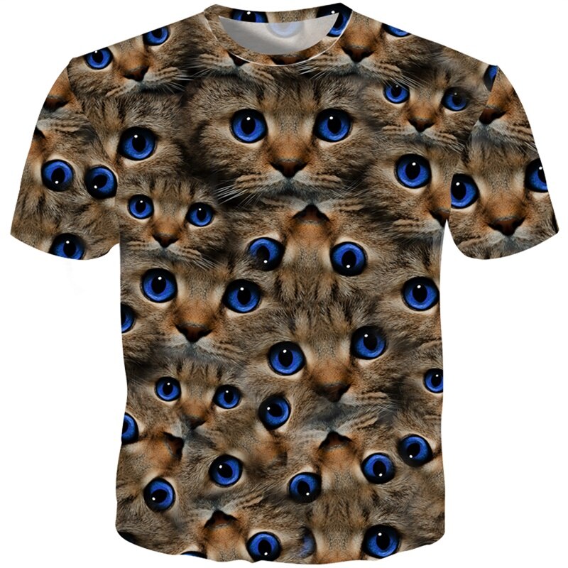 cute cat blue eyes