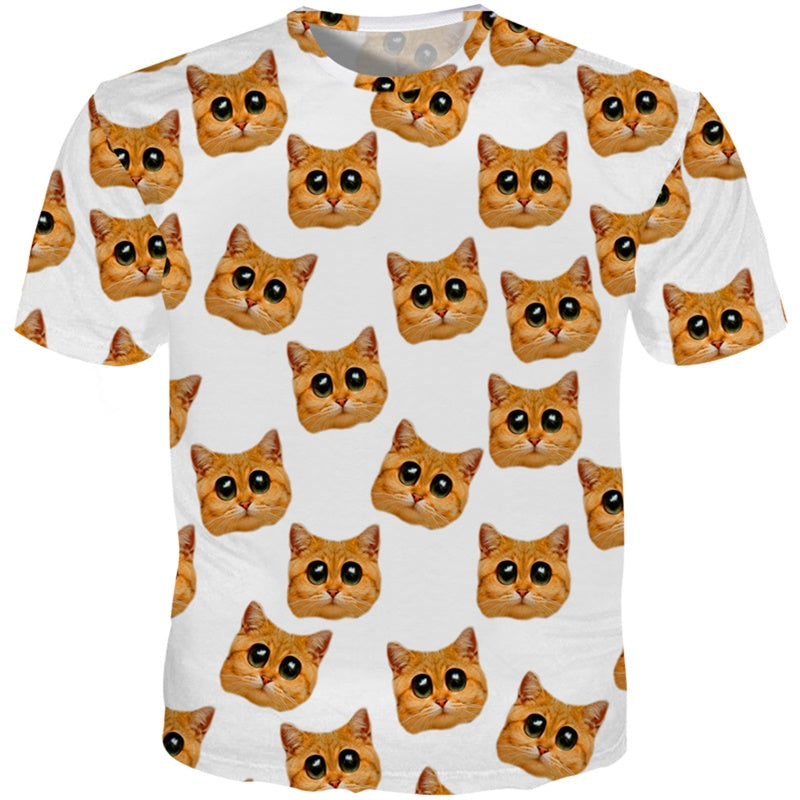 sweet orange cat