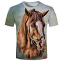 horse portrait