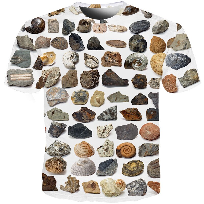 earth stones shells