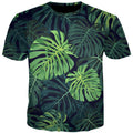 Plants Leaf