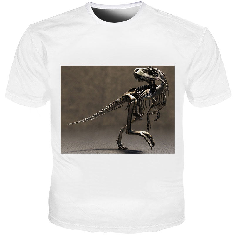 Dinosaur Fossil