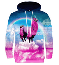 Exceptional Alpaca Rainbow Hoodie