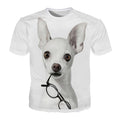 eyeglasses dog