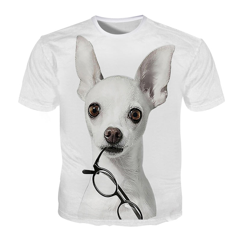 eyeglasses dog