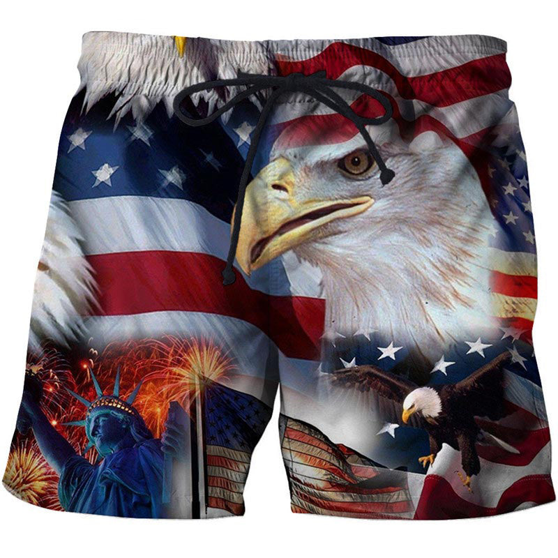 usa flag eagle