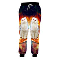 cat pizza galaxy surfing