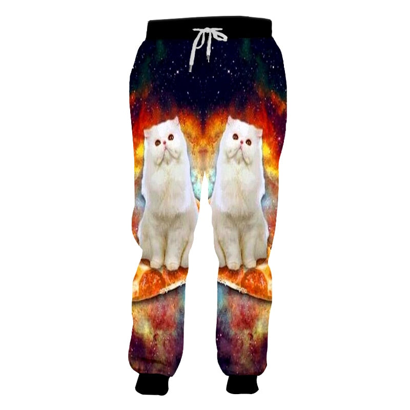 cat pizza galaxy surfing