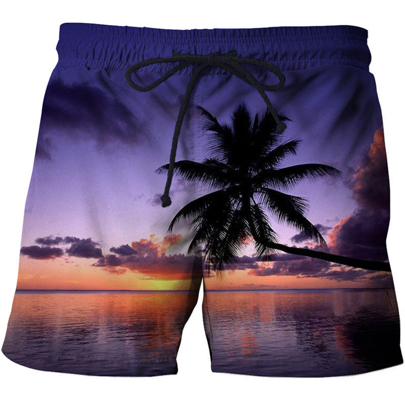 palm trees by beach