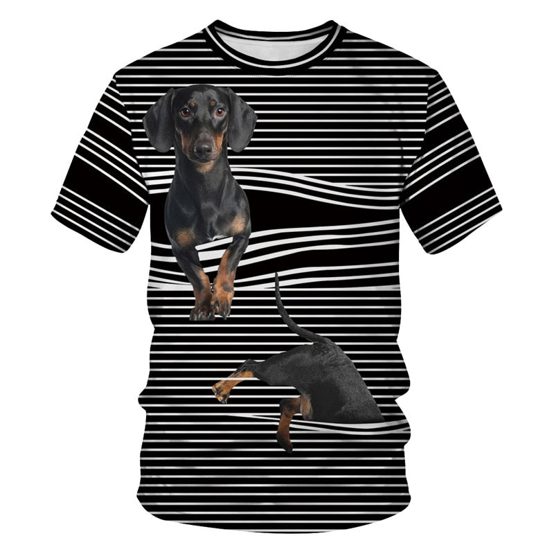 dog blinds