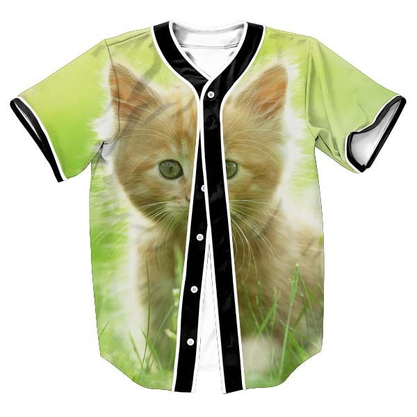 cat nature