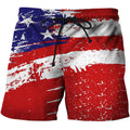 flag paint