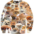 dog collage