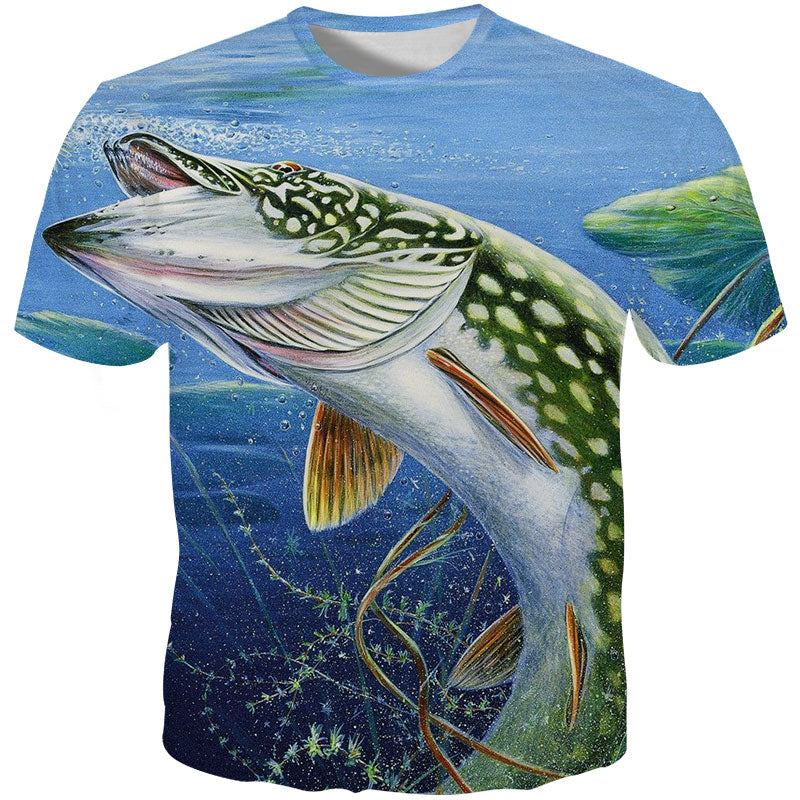 sea bass fish