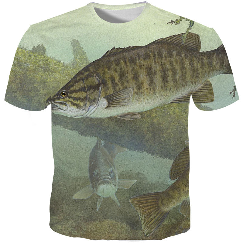 underwater fish view