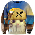 burrito pirate cat