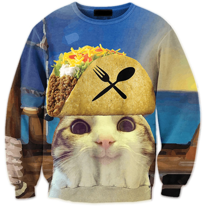 burrito pirate cat