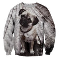 pug on deck