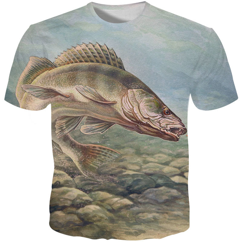 fish underwater
