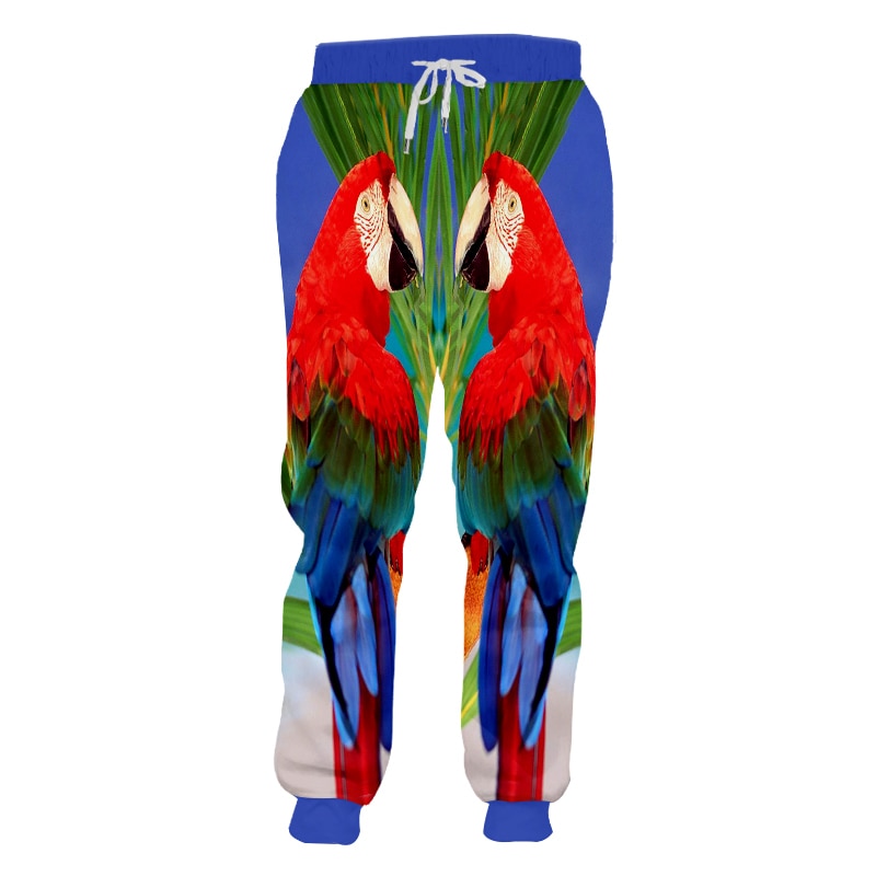 twin parrots tropic
