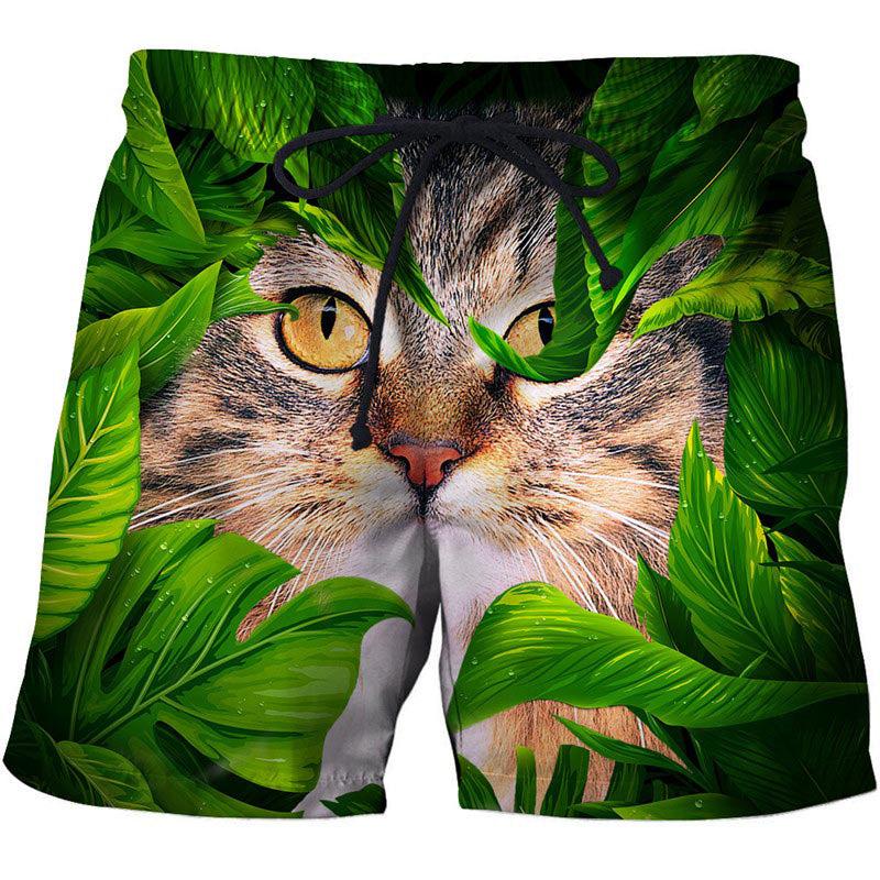 cat in the wild