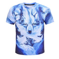 forest wolf pack