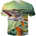 the catch seabass