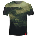 forest dawn