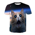 no parachute cat