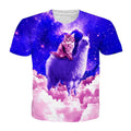 cat riding llama