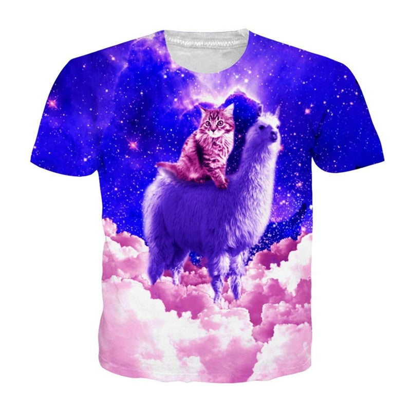 cat riding llama