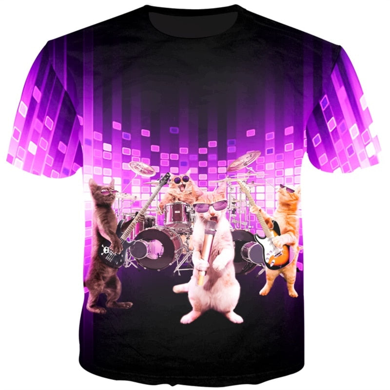 cat band in concert