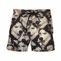 Siberian Husky Board Shorts